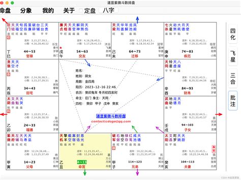 紫微|灵匣网的紫微斗数在线排盘系统